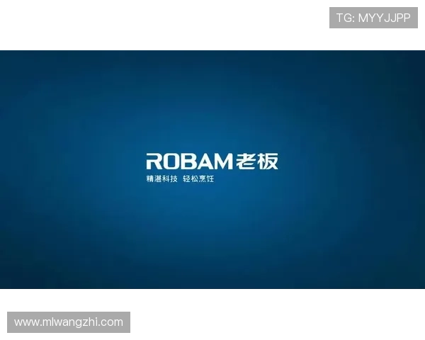 米兰官网手机版会员登录不上，影响用户体验的原因及优化建议