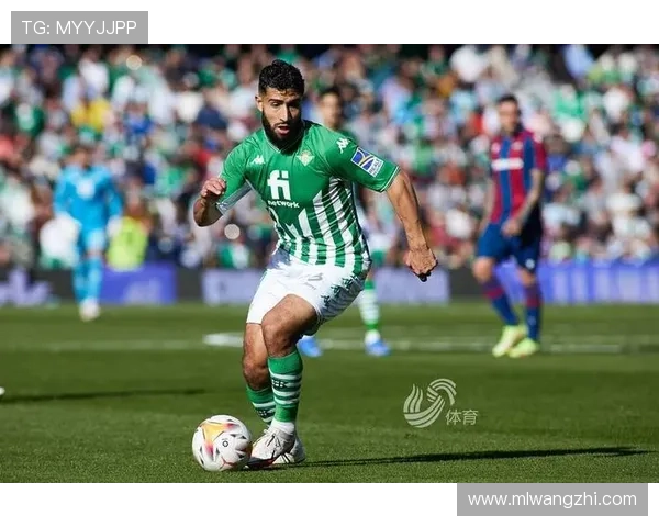 中欧体育app登录入口最新指南帮助用户顺利进入平台体验体育赛事直播