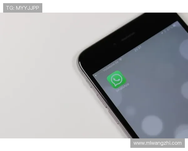 欧亿体育登录流程详细指南让新手玩家快速掌握账号登录技巧